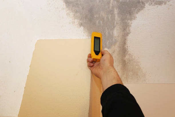 Asbestos and Lead Testing During Mold Inspection in Point Pleasant, NJ