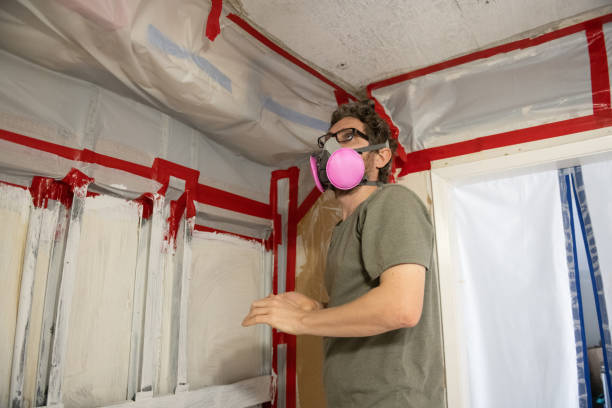 Mold Documentation for Insurance Claims in Point Pleasant, NJ